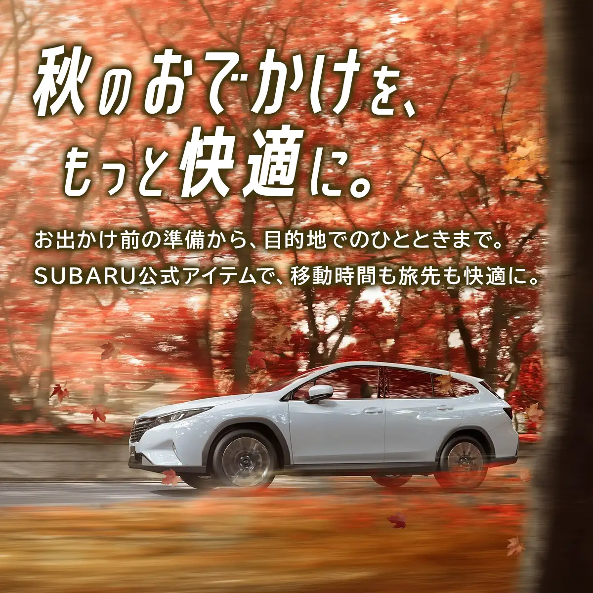 秋のおでかけ準備特集