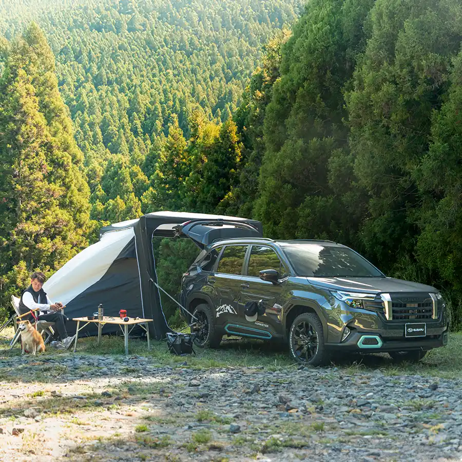 FORESTER Adventure Item Selection